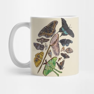 An Entomologist's Dream Mug